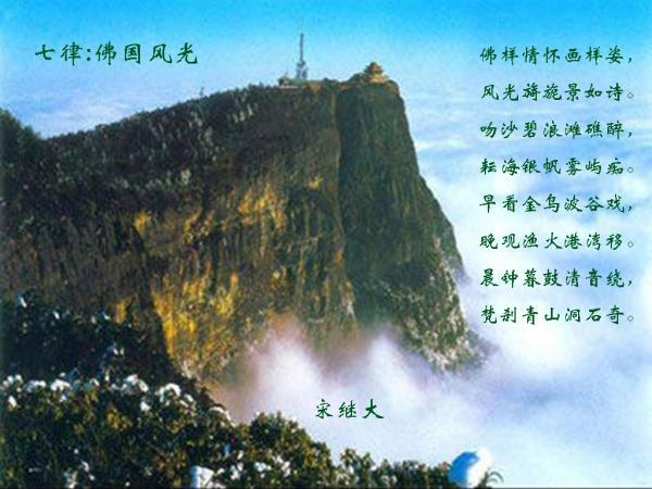 “一箱难求”重现？红海危机持续，空箱需求增加，货代航司正抓紧应对